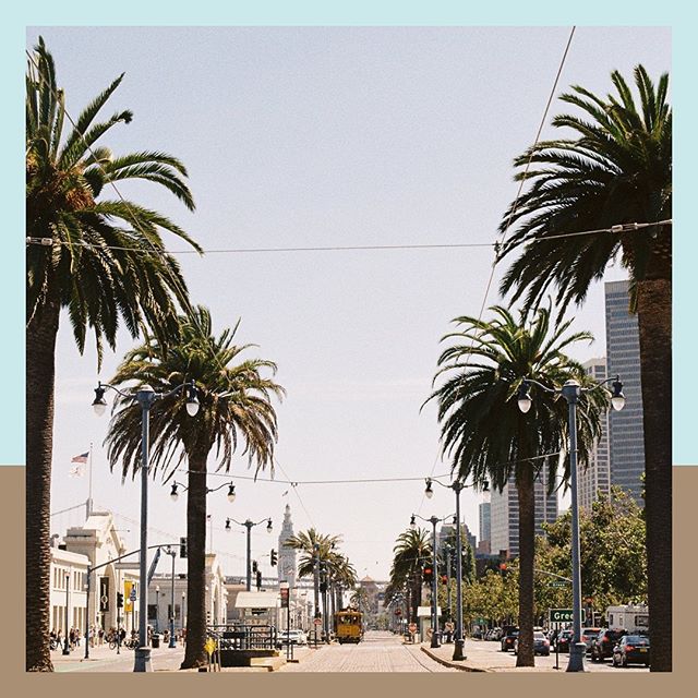 The Embarcadero holds a special in our heart. For one, it’s the home to the @ferrybuilding - a destination for all things food and wine. 🍷 And one of the BEST farmers markets in the country (hi @cuesa 👋🏼).
•
And the ferry building is also one of the places where co-founder Stephanie Watanabe cut her teeth working epic events with the incomparable @paulaleduc.
•
When you find yourself in the Bay, be sure to stop by to take in the view by the water and of the Bay Bridge (and of course alllllll the good eats/drinks)!
•
[Image description: a view down Embarcadero in San Francisco California. The street is flanked by palm trees and a cable car can be seen in the distance.]